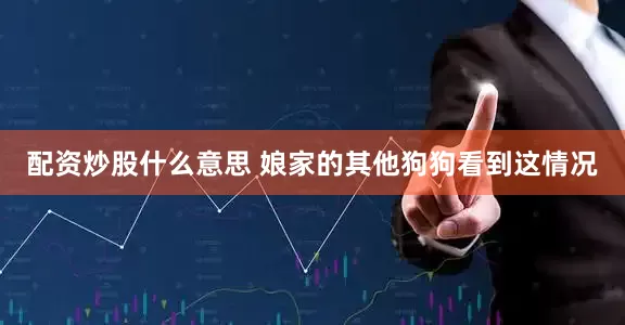 配资炒股什么意思 娘家的其他狗狗看到这情况
