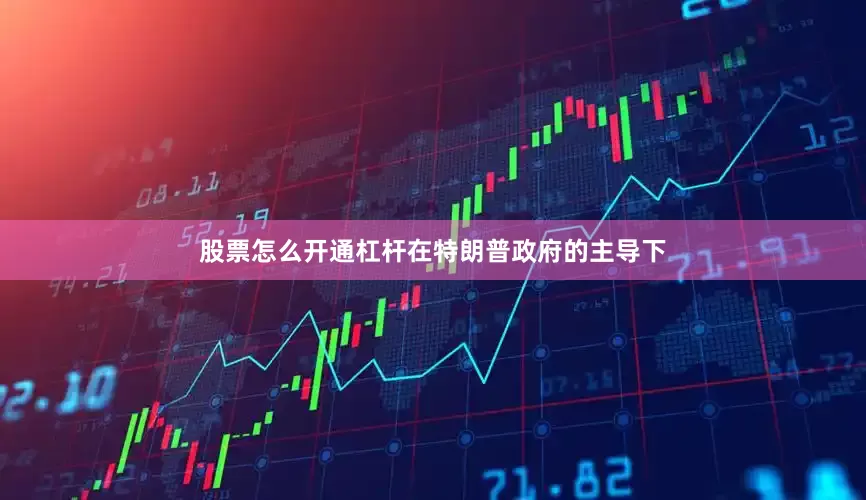 股票怎么开通杠杆在特朗普政府的主导下