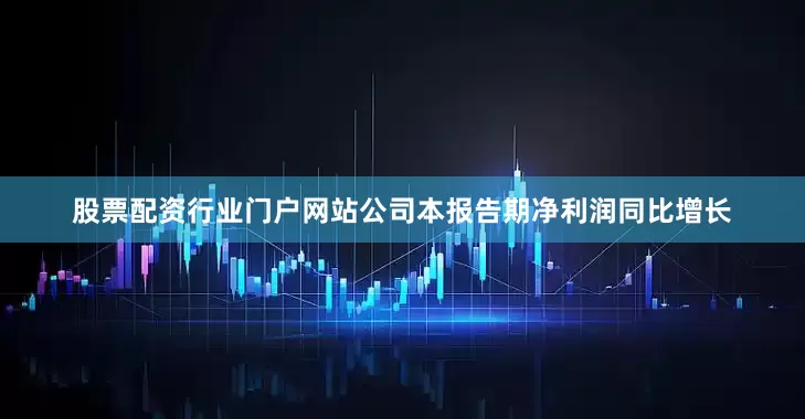 股票配资行业门户网站公司本报告期净利润同比增长