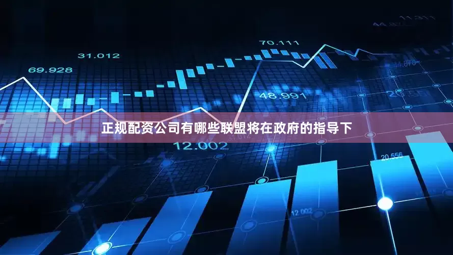 正规配资公司有哪些联盟将在政府的指导下