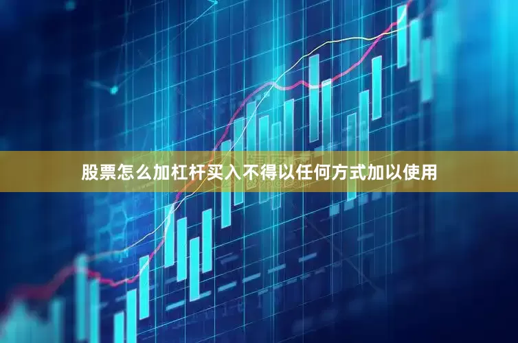 股票怎么加杠杆买入不得以任何方式加以使用